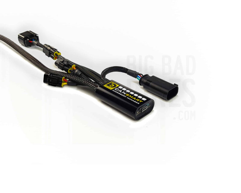 DENALI Plug-n-Play CANsmart Controller for BMW R1200 LC & R1250 Series – Gen I
