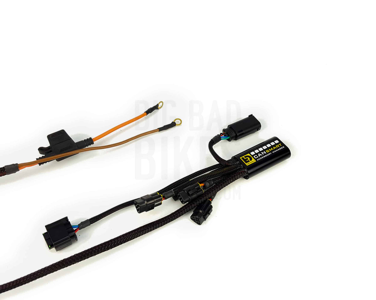 DENALI Plug-n-Play CANsmart Controller for BMW R1200 LC & R1250 Series – Gen I – Refurbished